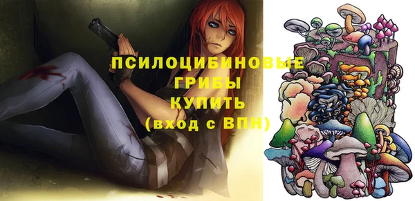 ПСИЛОЦИБИНОВЫЕ ГРИБЫ Алексеевка