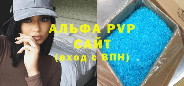 индика Алексин