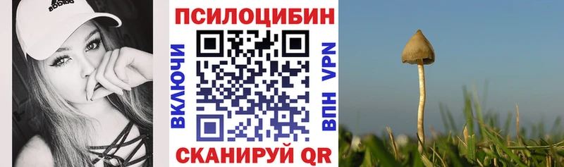 где купить   Нефтекамск  Псилоцибиновые грибы Psilocybine cubensis 